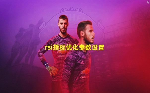 rsi指标优化参数设置