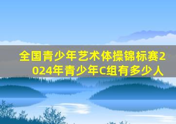 全国青少年艺术体操锦标赛2024年青少年C组有多少人