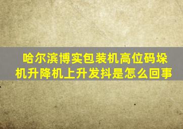 哈尔滨博实包装机高位码垛机升降机上升发抖是怎么回事