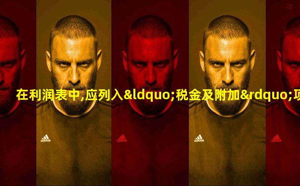 在利润表中,应列入“税金及附加”项目中的税金有
