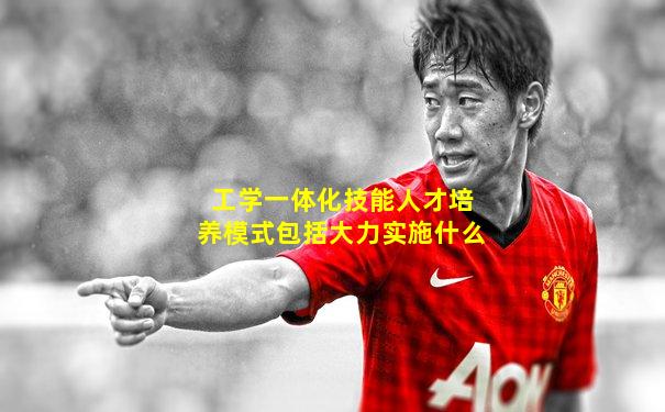 工学一体化技能人才培养模式包括大力实施什么