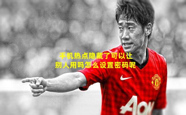 手机热点隐藏了可以让别人用吗怎么设置密码呢