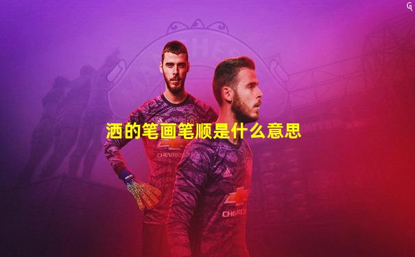 洒的笔画笔顺是什么意思