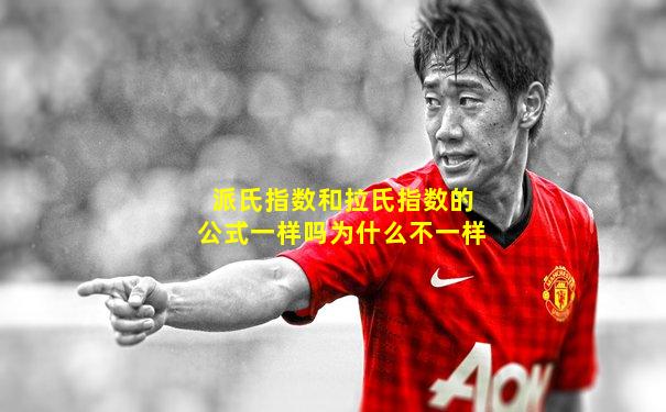 派氏指数和拉氏指数的公式一样吗为什么不一样
