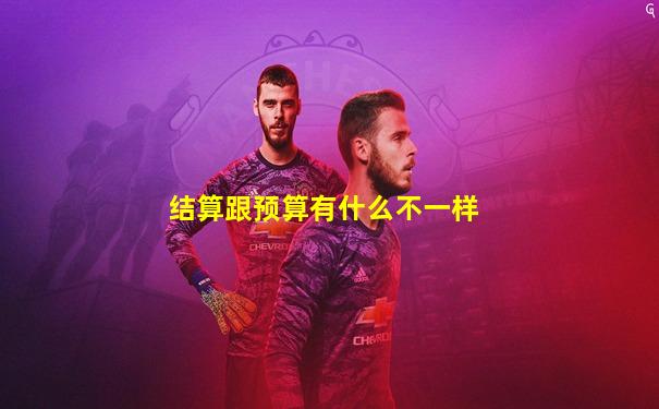 结算跟预算有什么不一样