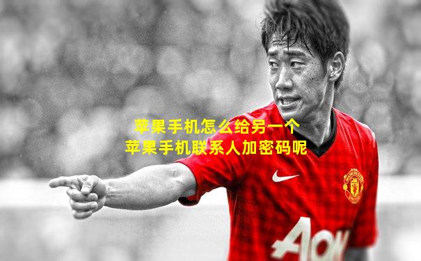 苹果手机怎么给另一个苹果手机联系人加密码呢
