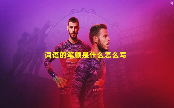 词语的笔顺是什么怎么写