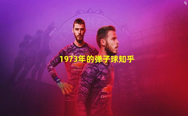 1973年的弹子球知乎