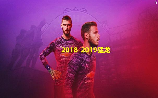 2018-2019猛龙