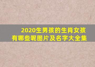 2020生男孩的生肖女孩有哪些呢图片及名字大全集