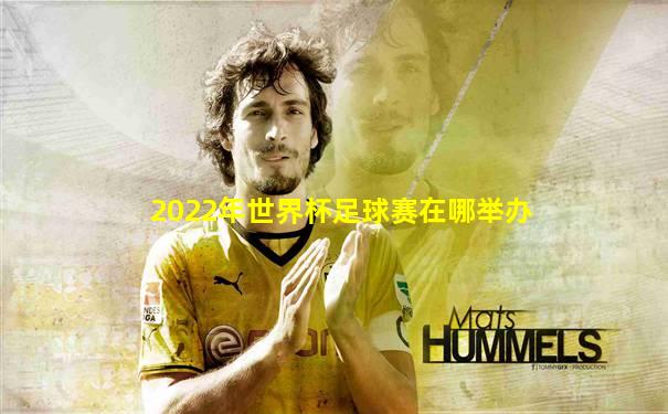 2022年世界杯足球赛在哪举办