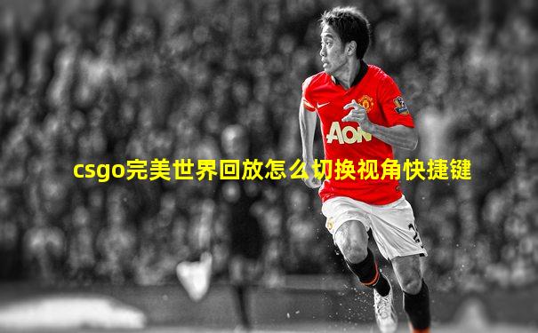 csgo完美世界回放怎么切换视角快捷键