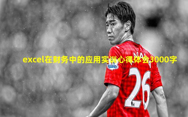 excel在财务中的应用实训心得体会3000字