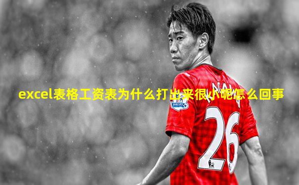 excel表格工资表为什么打出来很小呢怎么回事