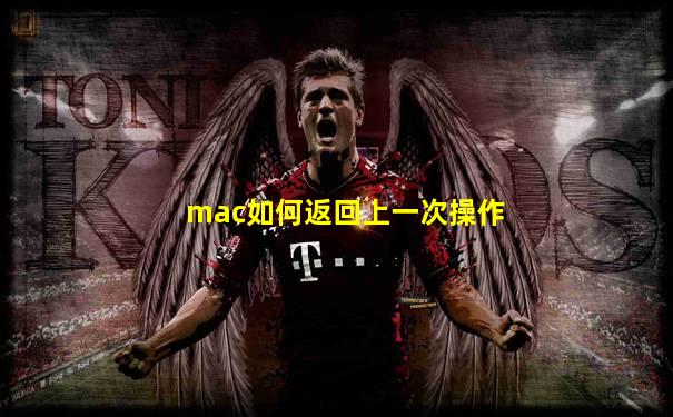 mac如何返回上一次操作
