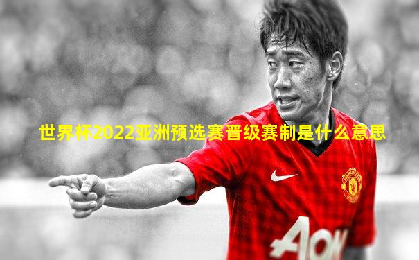 世界杯2022亚洲预选赛晋级赛制是什么意思
