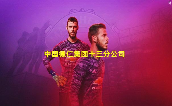 中国德仁集团十三分公司