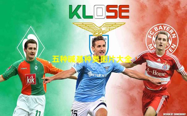 五种碱基种类图片大全