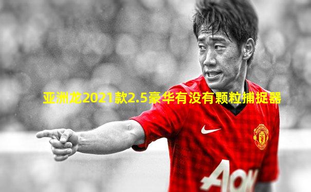 亚洲龙2021款2.5豪华有没有颗粒捕捉器
