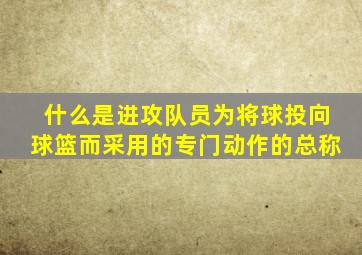 什么是进攻队员为将球投向球篮而采用的专门动作的总称