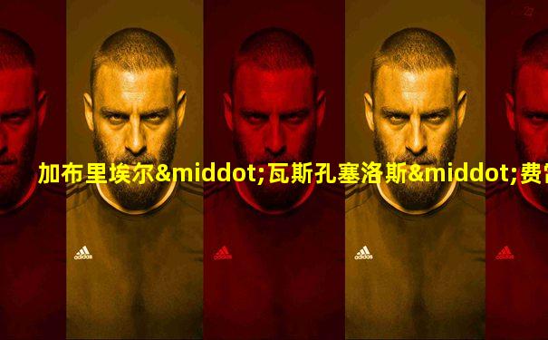 加布里埃尔·瓦斯孔塞洛斯·费雷拉