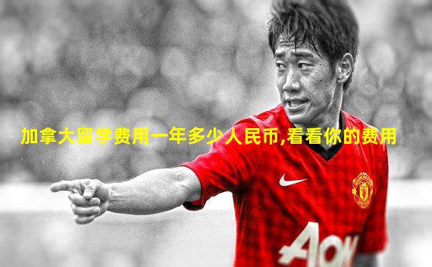 加拿大留学费用一年多少人民币,看看你的费用