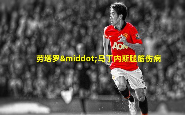 劳塔罗·马丁内斯腿筋伤病