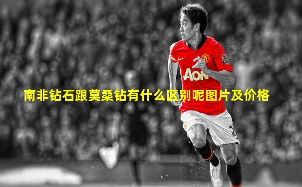 南非钻石跟莫桑钻有什么区别呢图片及价格