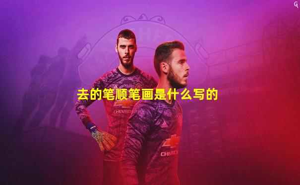 去的笔顺笔画是什么写的