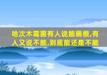 哈次木霉菌有人说能蘸根,有人又说不能,到底能还是不能