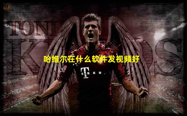 哈维尔在什么软件发视频好