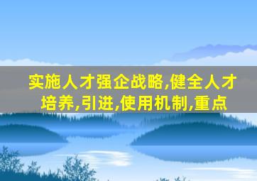 实施人才强企战略,健全人才培养,引进,使用机制,重点