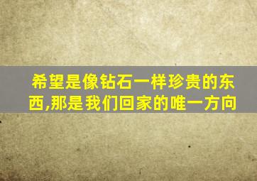 希望是像钻石一样珍贵的东西,那是我们回家的唯一方向