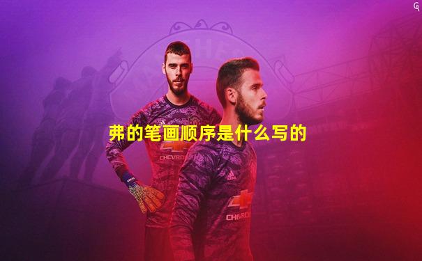 弗的笔画顺序是什么写的