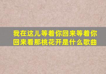 我在这儿等着你回来等着你回来看那桃花开是什么歌曲