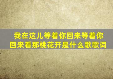 我在这儿等着你回来等着你回来看那桃花开是什么歌歌词