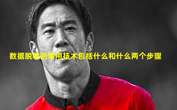 数据脱敏的常用技术包括什么和什么两个步骤