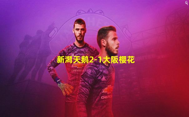 新潟天鹅2-1大阪樱花