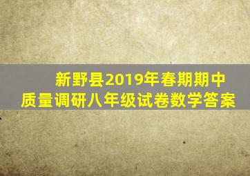 新野县2019年春期期中质量调研八年级试卷数学答案