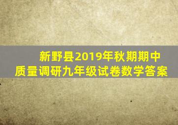 新野县2019年秋期期中质量调研九年级试卷数学答案