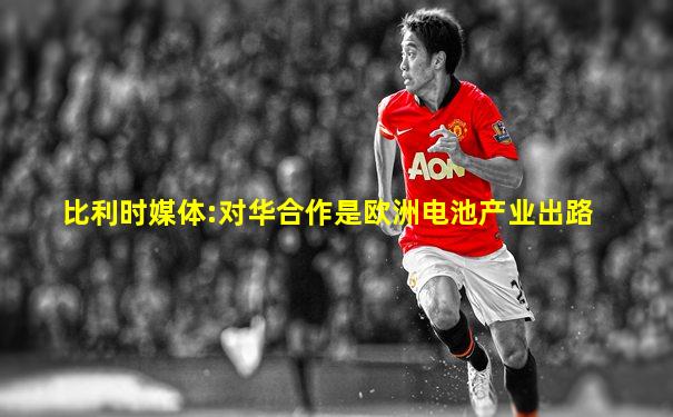 比利时媒体:对华合作是欧洲电池产业出路