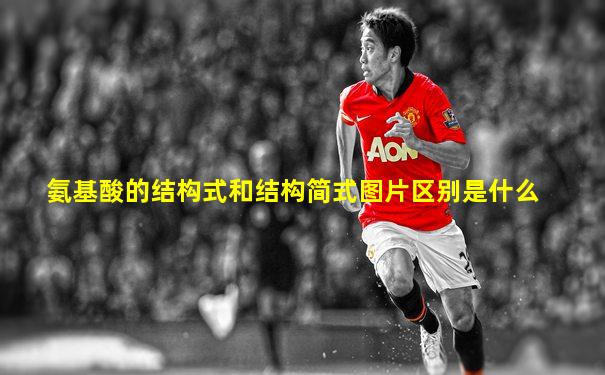 氨基酸的结构式和结构简式图片区别是什么
