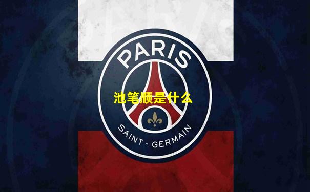 池笔顺是什么