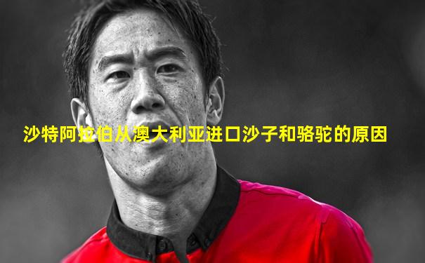沙特阿拉伯从澳大利亚进口沙子和骆驼的原因
