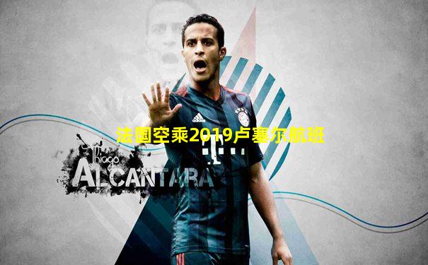 法国空乘2019卢塞尔航班