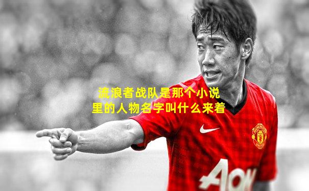 流浪者战队是那个小说里的人物名字叫什么来着