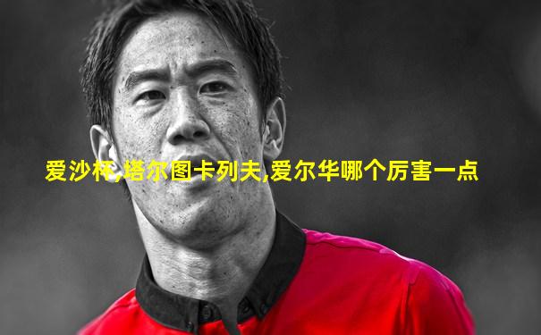 爱沙杯,塔尔图卡列夫,爱尔华哪个厉害一点