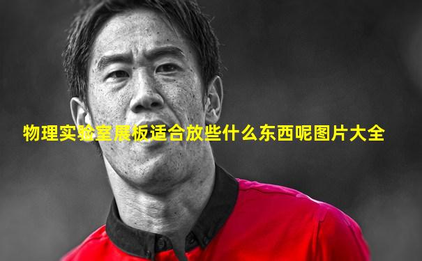 物理实验室展板适合放些什么东西呢图片大全
