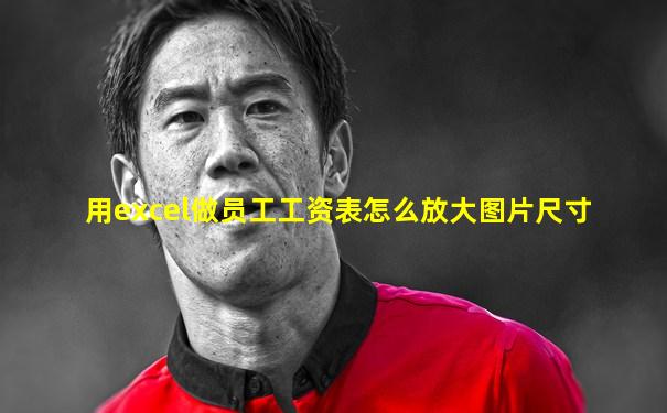 用excel做员工工资表怎么放大图片尺寸