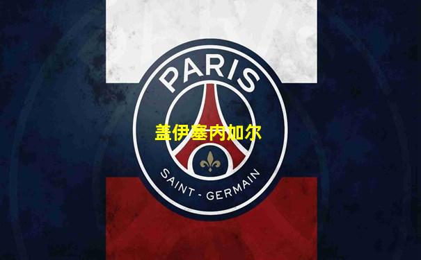 盖伊塞内加尔